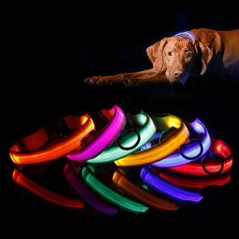 Najlon ogrlica za kućne ljubimce pse Led Svjetiljka Noćni sigurnost Bljeskalica, osvijetljena u mraku Ogrlica za mačke LED ogrlice za pse Mali psi Pribor za pse 2