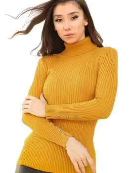 Pulover s visokim ulivni žena Jesen-zima Sezone 2021 Moderan seksi Vruće Svakodnevne ženski pulover od akrilnih tkanina